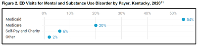 Visits for Mental and Substance Use Disorder by Payer, KY, 2020