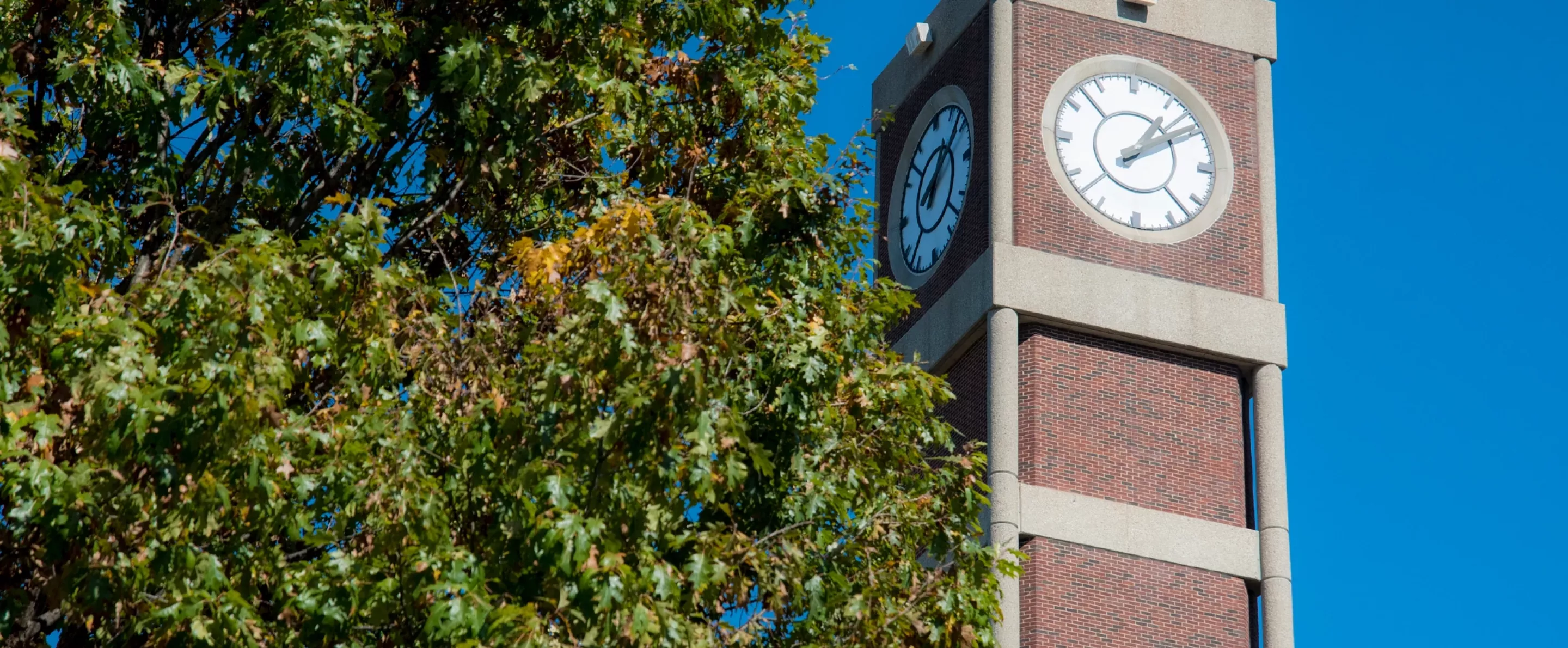 The Clock Tower