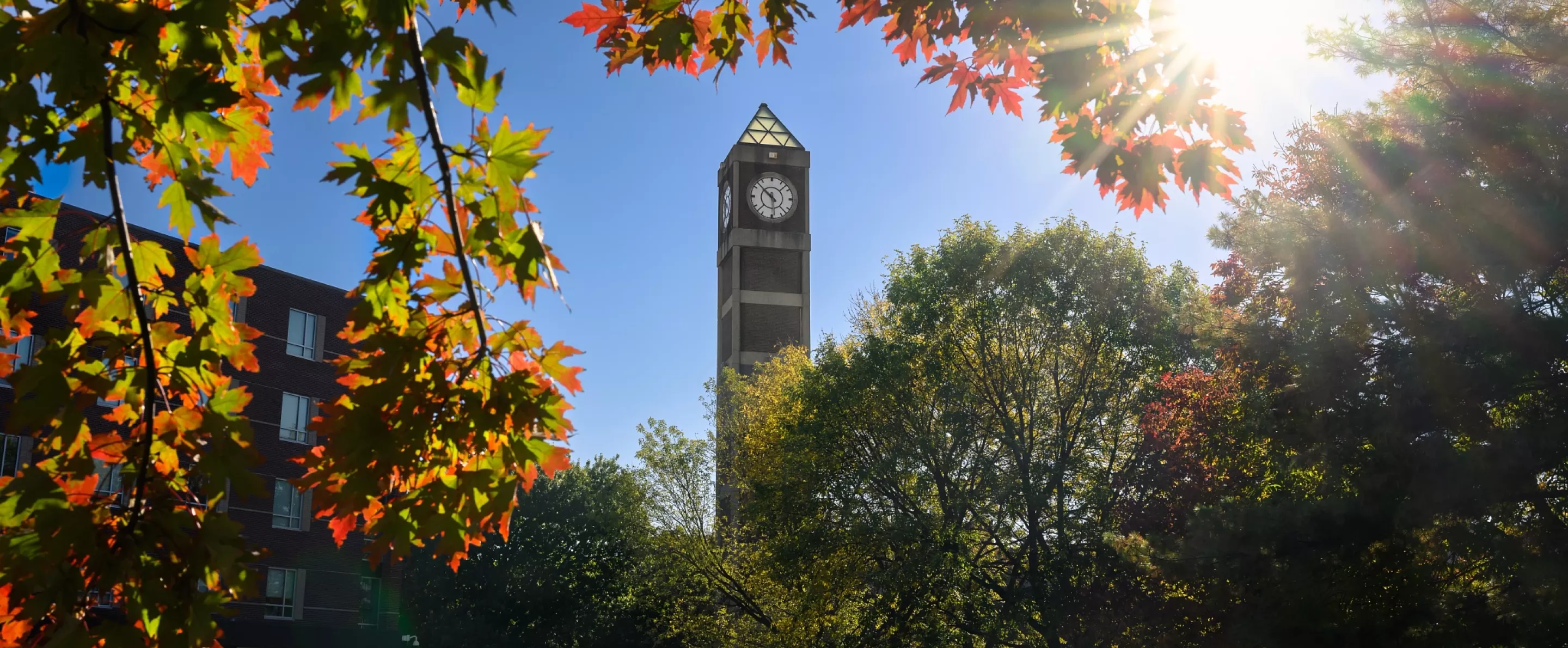 Close-up detail of multi-colored fall leaves on a tree branch with the Student Activities Center clock tower in the background