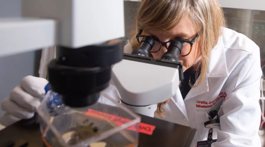A researcher looking at a microscope shot from behind the equipment
