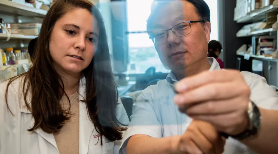 Two researchers studying an object in a lab setting.